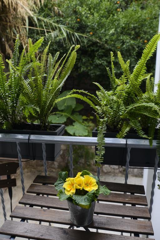 Your "Home Away From Home" In Acropolis Atény Exteriér fotografie